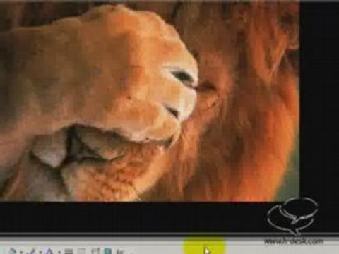 Convert PowerPoint file (PPT) to PDF