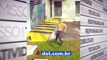 Cachorro sofre mal-trato em Belém