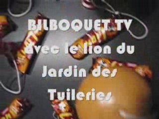 Bilboquet TV avec le Lion du Jardin des Tuileries