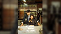 The Wind Flows Through The Year (2026) - Chinese Drama - English Sub