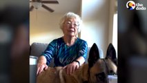 Rescue Dog Learns To Trust Again With Help From Her Grandparents | The Dodo