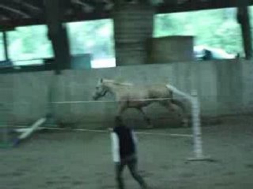 MOV02941