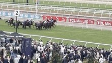 Attendee captures the moment veteran jockey Blake Shinn suffered a scary fall during competitive Melbourne Cup race