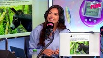 Bruno sur Fun Radio - L'intégrale du 14 janvier