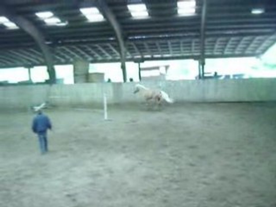 MOV02945