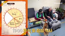 인싸犬이 된 떠돌이 강아지와 할아버지의 따뜻한 인연