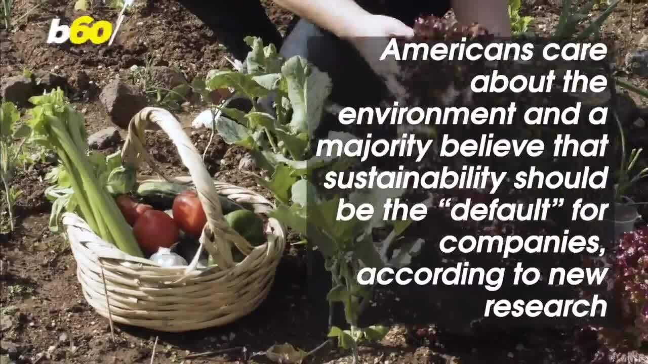 Most Americans Say Companies Should Be Held to Stronger Sustainability Standards