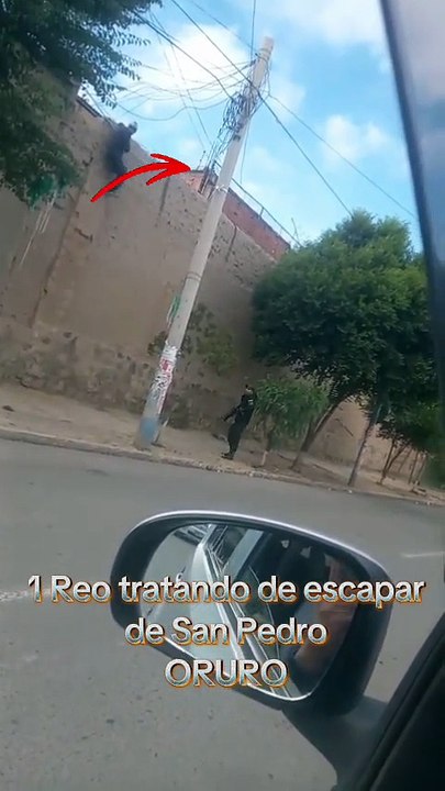 Reo tratando de escapar