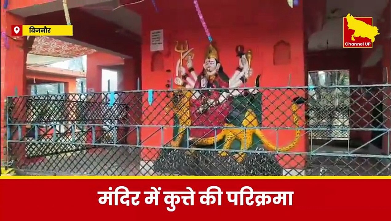 Bijnor: दुर्गा माता की मूर्ति की परिक्रमा करता दिखा कुत्ता, लोग बोले- चमत्कार! | Dog Viral Video
