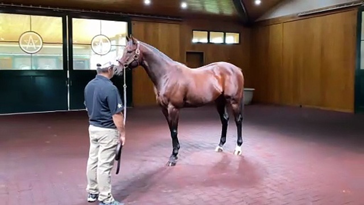 One Nine Hundred Gets One-Oh-Four Beyer