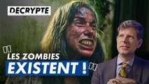 Un expert en zombies réagit à The Walking Dead, 28 Ans plus tard, The Last of US… | DECRYPTE