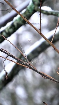 🔥 Surah Yūnus 10:47 — سورة يونس ⚡⚖️⏳#love #Quran #Viral #shorts #trending #youtubeshorts #fyp #short