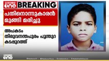 വെള്ളത്തിൽ പോയ പന്ത് എടുക്കുന്നതിനിടെ 11-കാരൻ തിരയിൽപ്പെട്ട് മരിച്ചു