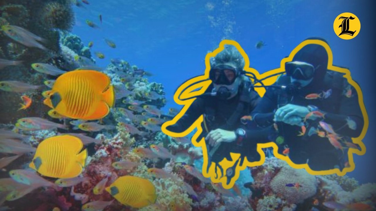 ¿Cuáles son los equipos y las instrucciones que se necesitan para bucear?