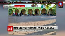Incendios forestales en Oaxaca afectan más de 400 hectáreas