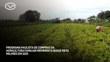 Programa Paulista da Agricultura Familiar movimenta quase R$ 54 milhões em 2025