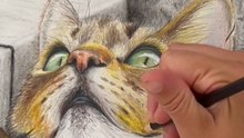Dessin réaliste d'un chat avec les crayons de couleur