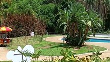 Parque do Palácio amplia atrações nas férias escolares em BH