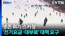 생존 위기 스키장...’전기요금·국공유림 대부료’ 대책 요구 / YTN