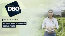 Pastagens: ajuste o manejo para não sobrar pasto