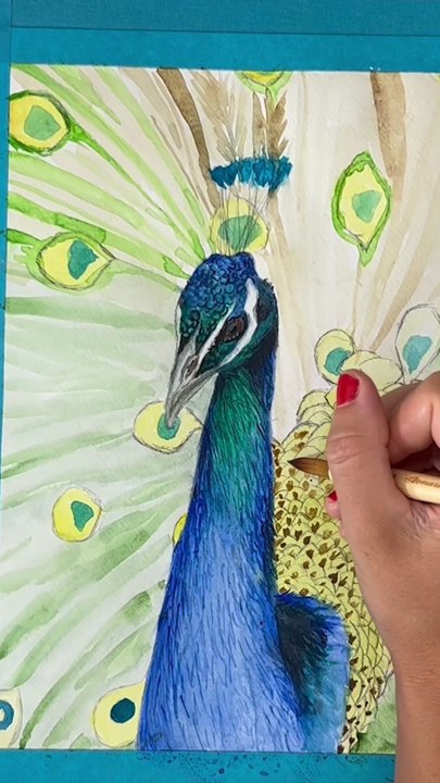 Peindre un paon à l'aquarelle