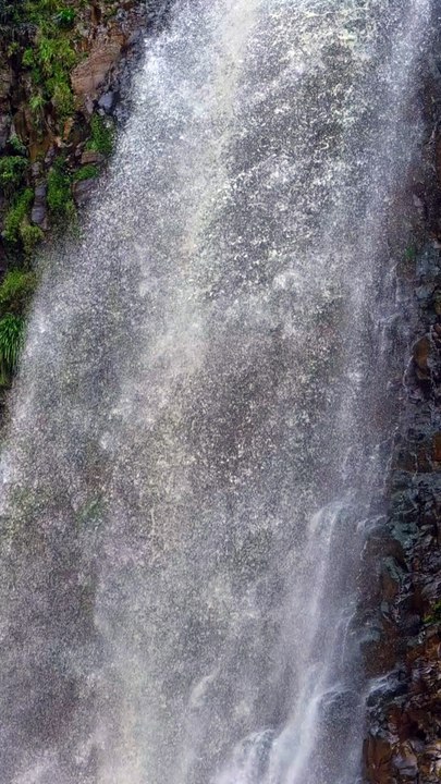 “Walk Walk Walk (To the Beat)” - Musique AMIS