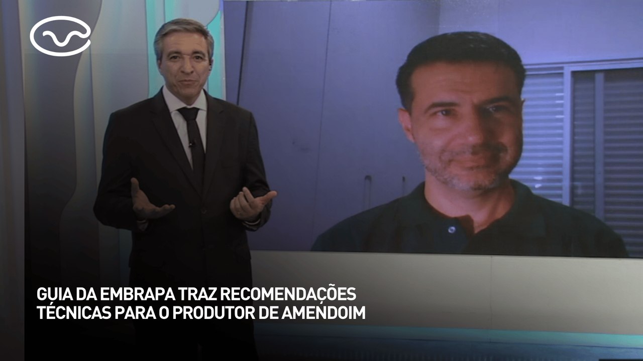 Guia da Embrapa traz recomendações técnicas para o produtor de amendoim