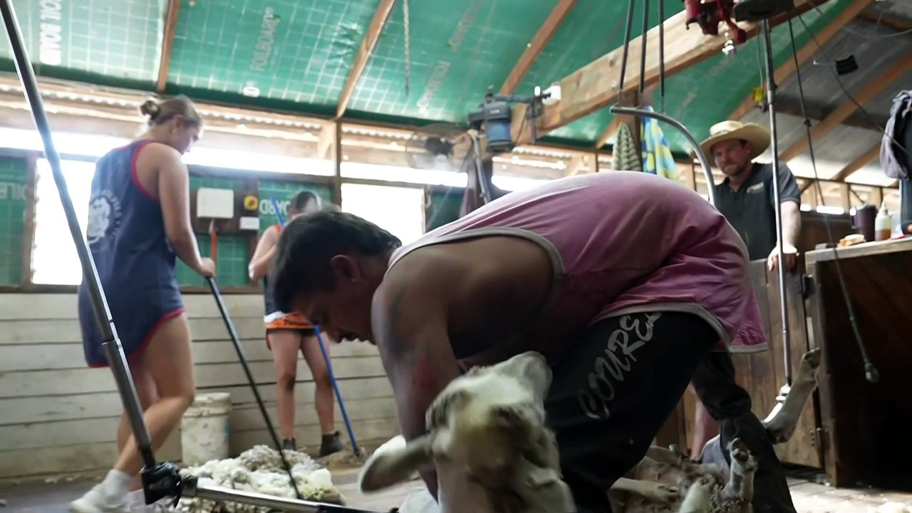 Residents displaced by Victorian bushfires concerned with tight housing market