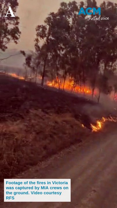 MIA RFS in Victoria | The Area News | January 2026
