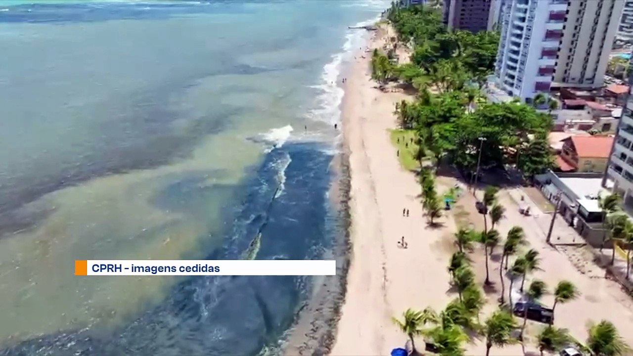 Análise Ambiental em Praia de Pernambuco: Mancha Escura na Água é Fenômeno de Floração das Algas, Não Desastre