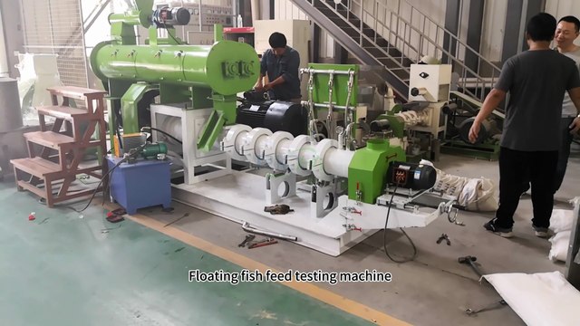 Floating Fish Feed Extruder Machine Trial Run | Stable Output & Perfect Floating Pellets