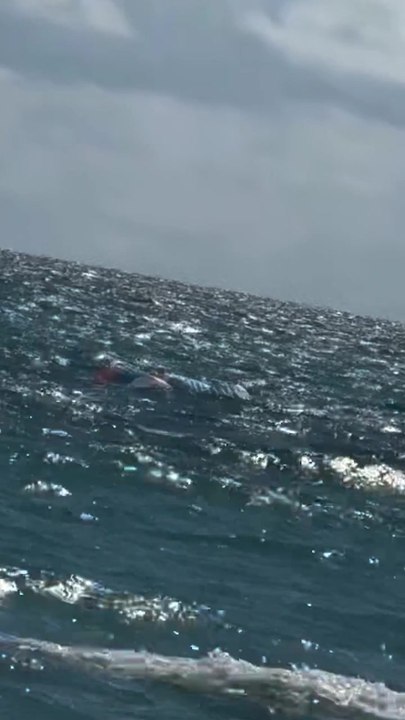 Florida paraglider survives terrifying 500-foot plunge