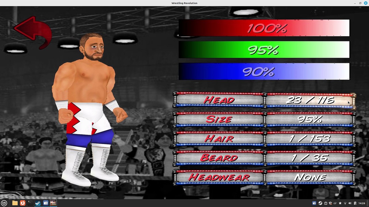 Wrestling Revolution 2D - Character Creation