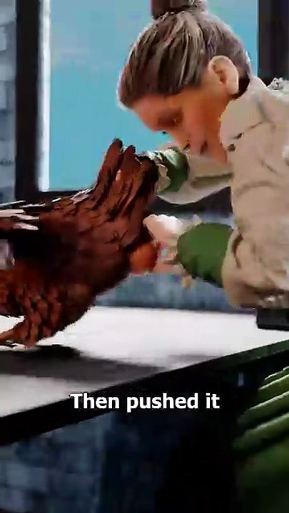 She Claimed Her Chicken Laid Holy Messages