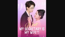 Wait, My Secretary Is My Wife