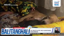 Alagang aso, katabi sa pagtulog ng kaniyang fur mom sa buong magdamag | Balitanghali