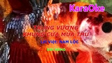 Mux251209191610