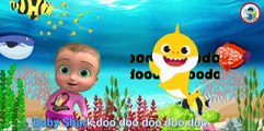 Baby Shark Dance 🦈 | Baby Shark Song for Kids | Nursery Rhymes | Kids Songs #BabyShark #KidsSongs #NurseryRhymes #Toddlers