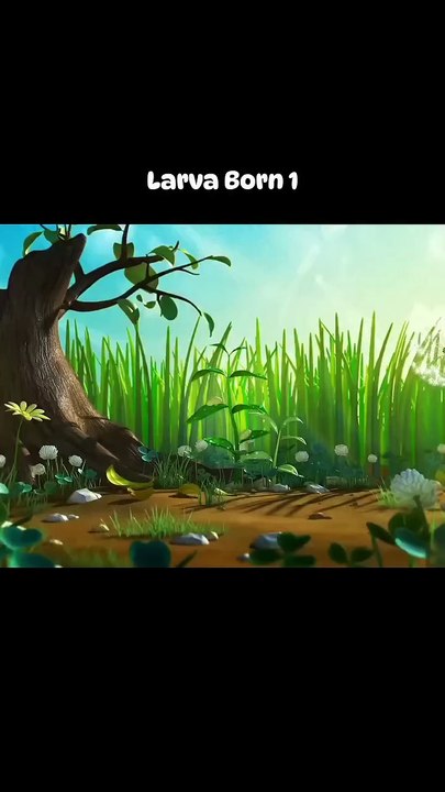 Larva Born
