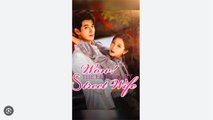 Wow! The Legendary Street Wife- Drama Movies English Sub