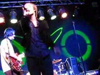 the brights@Purple Turtle