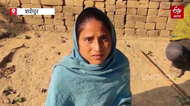 नालियों में डूबी पाइपलाइन, कुएं में गंदा पानी, श्योपुर के विजयपुर में दूषित पानी से टाइफाइड-डायरिया