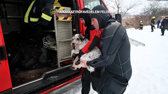 Los bomberos rescatan a un perro que cayó en un lago helado en Budapest