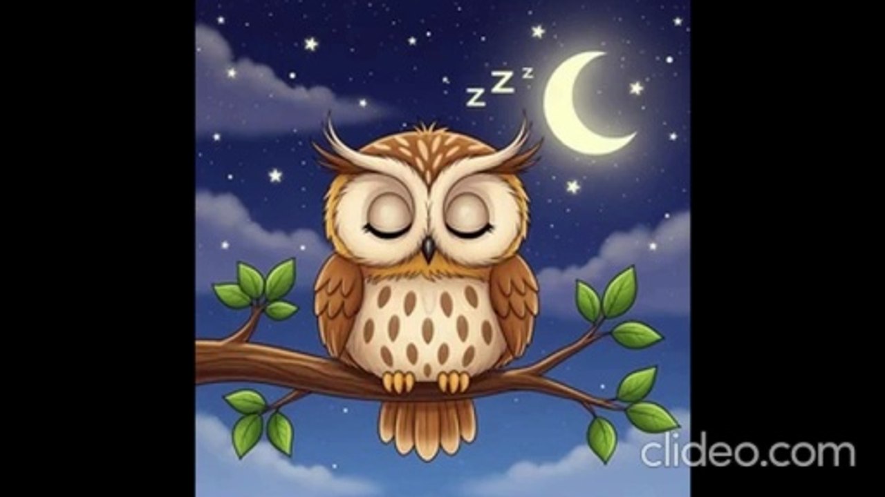 Night Owls are Sleeping. Lullaby, Music, And Go To Sleep