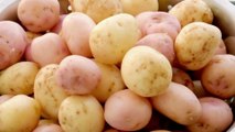 Red vs White Potatoes 🍠🥔 The Healthier Choice Might Surprise You!
