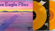 Don Anderson And Friends — The Eagle Flies 1973 (Germany, Folk,Psychedelic,Funk Rock)