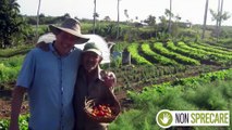 Fernando Funes Monzote ha creato a Cuba una fattoria-modello di agricoltura sostenibile