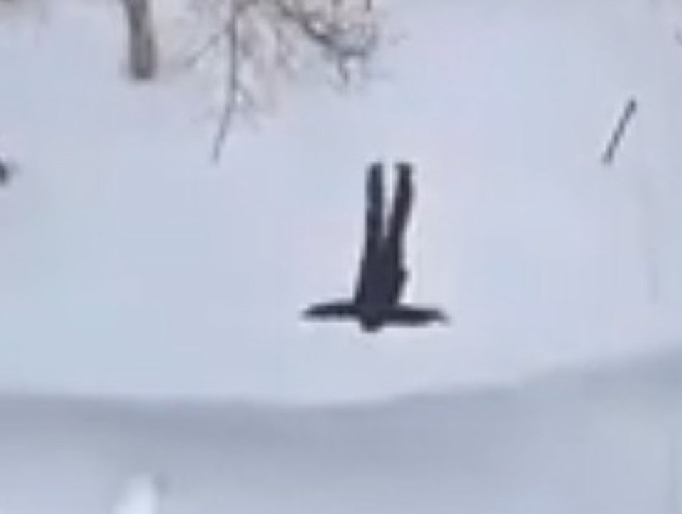 Aus dem fünfen Stock! Mann springt in riesigen Schneehaufen
