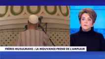 Judith waintraub : «les frères musulmans surfent sur l idée que la société française est islamophobe»