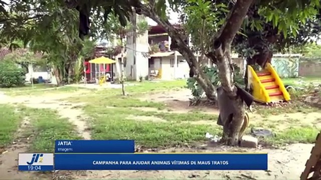 Campanha para ajudar animais vítimas de maus tratos